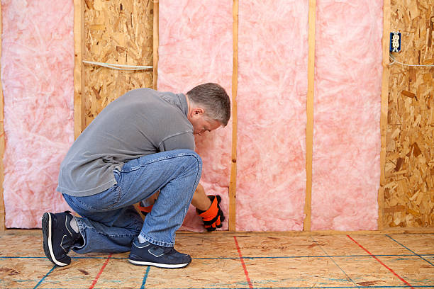 Best Home Insulation Services  in Manchester, MI