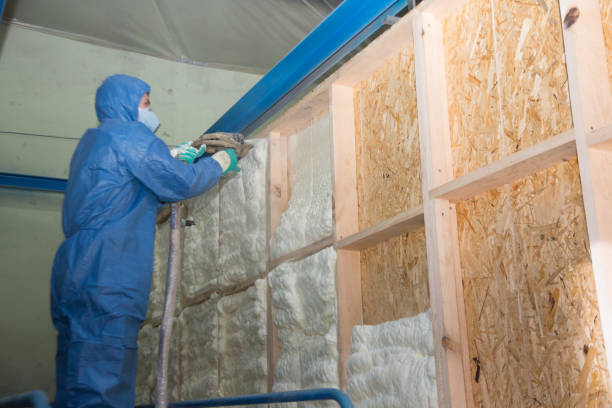 Best Insulation Inspection Services  in Manchester, MI