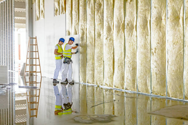 Best Residential Insulation Services  in Manchester, MI